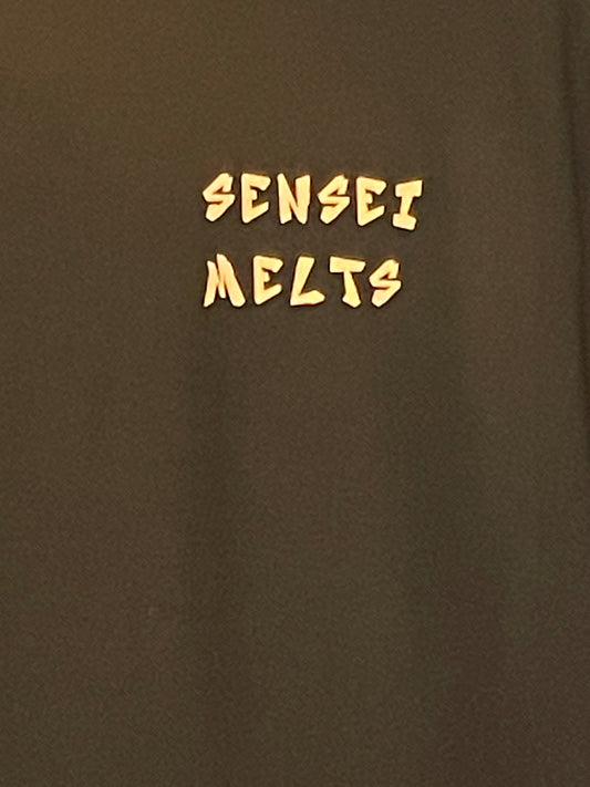 Sensei Logo Hoodie XL